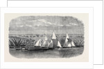 Fetes of the Viceroy of Egypt: Regatta at Ismailia on Lake Timsah 1869 by Anonymous