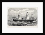 The Adriatic and Oriental Company's Screw-Steamer Cairo of the Brindisi and Alexandria Line 1869 by Anonymous