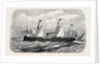 The Adriatic and Oriental Company's Screw-Steamer Cairo of the Brindisi and Alexandria Line 1869 by Anonymous