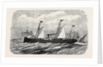 The Adriatic and Oriental Company's Screw-Steamer Cairo of the Brindisi and Alexandria Line 1869 by Anonymous