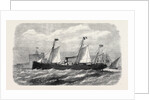 The Adriatic and Oriental Company's Screw-Steamer Cairo of the Brindisi and Alexandria Line 1869 by Anonymous