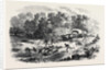 Travelling in Africa: The Rain-Pool by the Way 1869 by Anonymous