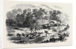 Travelling in Africa: The Rain-Pool by the Way 1869 by Anonymous