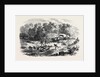 Travelling in Africa: The Rain-Pool by the Way 1869 by Anonymous