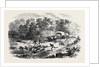 Travelling in Africa: The Rain-Pool by the Way 1869 by Anonymous