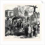 Scene at the Mohammedan Festival of the Bairam at Alexandria Egypt 1869 by Anonymous