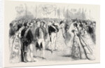 A State Ball at the Tuileries: Presentations to the Emperor and Empress Before the Ball Paris France 1869 by Anonymous