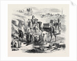 The Isthmus of Suez Maritime Canal: Workmen Loading Dromedaries 1869 by Anonymous
