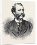 Lieutenant-Colonel Henderson the New Chief Commissioner of Metropolitan Police London UK 1869 by Anonymous