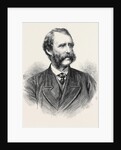 Lieutenant-Colonel Henderson the New Chief Commissioner of Metropolitan Police London UK 1869 by Anonymous