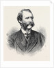 Lieutenant-Colonel Henderson the New Chief Commissioner of Metropolitan Police London UK 1869 by Anonymous