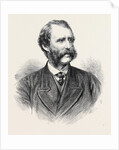 Lieutenant-Colonel Henderson the New Chief Commissioner of Metropolitan Police London UK 1869 by Anonymous