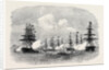 Visit of the King of Portugal to the English Channel Fleet at Lisbon 1869 by Anonymous