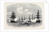 Visit of the King of Portugal to the English Channel Fleet at Lisbon 1869 by Anonymous