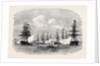 Visit of the King of Portugal to the English Channel Fleet at Lisbon 1869 by Anonymous