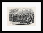 The Royal Drawingroom: Yeomen of the Guard Marching to Buckingham Palace UK 1869 by Anonymous