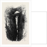 The Devon Valley Railway in Scotland: The Rumbling Brig 1869 UK by Anonymous