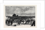 Whitsuntide Festival of Workpeople at Norwich UK 1869 by Anonymous