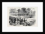 Band of the Life Guards Playing on the New Platform in Hyde Park London UK 1869 by Anonymous