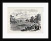The Regatta at Henley-on-Thames UK 1869 by Anonymous