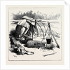Gipsy Life Round London: Tent at Hackney 1880 by Anonymous