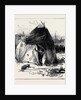 Gipsy Life Round London: Tent at Hackney 1880 by Anonymous
