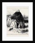 Gipsy Life Round London: Tent at Hackney 1880 by Anonymous