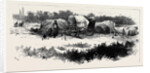 Gipsy Life Round London: Encampment at Mitcham Common 1880 by Anonymous
