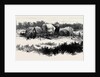 Gipsy Life Round London: Encampment at Mitcham Common 1880 by Anonymous