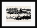Gipsy Life Round London: Encampment at Mitcham Common 1880 by Anonymous