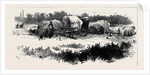 Gipsy Life Round London: Encampment at Mitcham Common 1880 by Anonymous