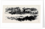 Gipsy Life Round London: Encampment at Mitcham Common 1880 by Anonymous