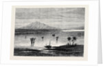 Affairs in Burmah: Thyetmyo the Frontier Town 1880 by Anonymous
