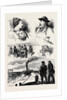The Tay Bridge Disaster 1880 by Anonymous