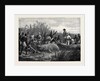 Hippopotamus Hunting in Angola West Africa 1880 by Anonymous