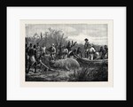 Hippopotamus Hunting in Angola West Africa 1880 by Anonymous