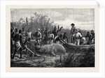 Hippopotamus Hunting in Angola West Africa 1880 by Anonymous