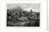 Hippopotamus Hunting in Angola West Africa 1880 by Anonymous