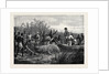 Hippopotamus Hunting in Angola West Africa 1880 by Anonymous