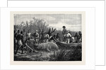 Hippopotamus Hunting in Angola West Africa 1880 by Anonymous