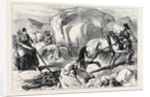 Ireland: Harrowing Under Difficulties Mountain Farm in County Mayo 1880 by Anonymous