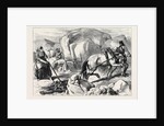 Ireland: Harrowing Under Difficulties Mountain Farm in County Mayo 1880 by Anonymous