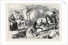 Ireland: Harrowing Under Difficulties Mountain Farm in County Mayo 1880 by Anonymous