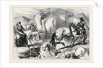 Ireland: Harrowing Under Difficulties Mountain Farm in County Mayo 1880 by Anonymous
