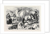 Ireland: Harrowing Under Difficulties Mountain Farm in County Mayo 1880 by Anonymous