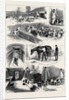 The Royal Buckhounds: The Kennels at Ascot 1880 by Anonymous