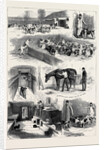 The Royal Buckhounds: The Kennels at Ascot 1880 by Anonymous