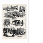 The Royal Buckhounds: The Kennels at Ascot 1880 by Anonymous