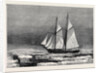 The Dutch Arctic Expedition: The Schooner Willem Barents Sighting Franz Joseph Land Sept. 7 1879 by Anonymous