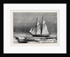 The Dutch Arctic Expedition: The Schooner Willem Barents Sighting Franz Joseph Land Sept. 7 1879 by Anonymous